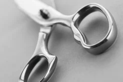 Wüsthof Scissors & Shears|Accessories & Tools><noscript><img width=
