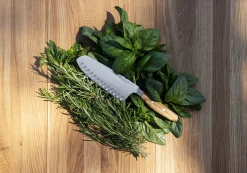 Wüsthof Asian-Style Knives><noscript><img width=