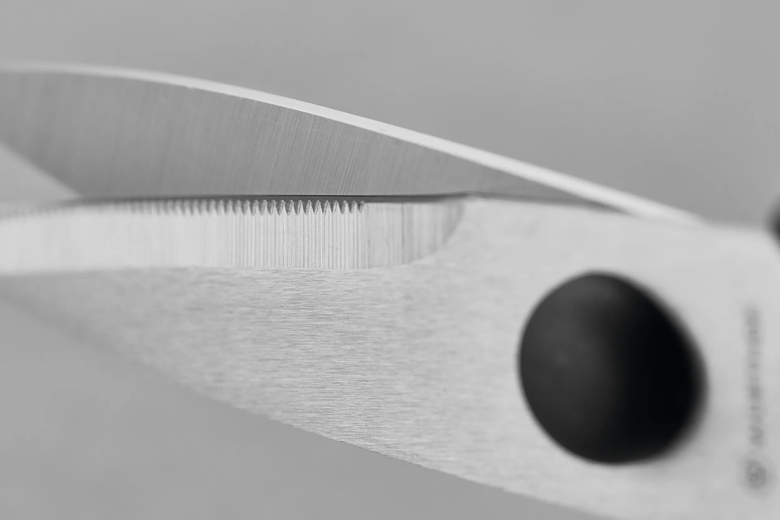 Wüsthof Block Sets>Classic Ikon 6-Piece Starter Knife Block Set