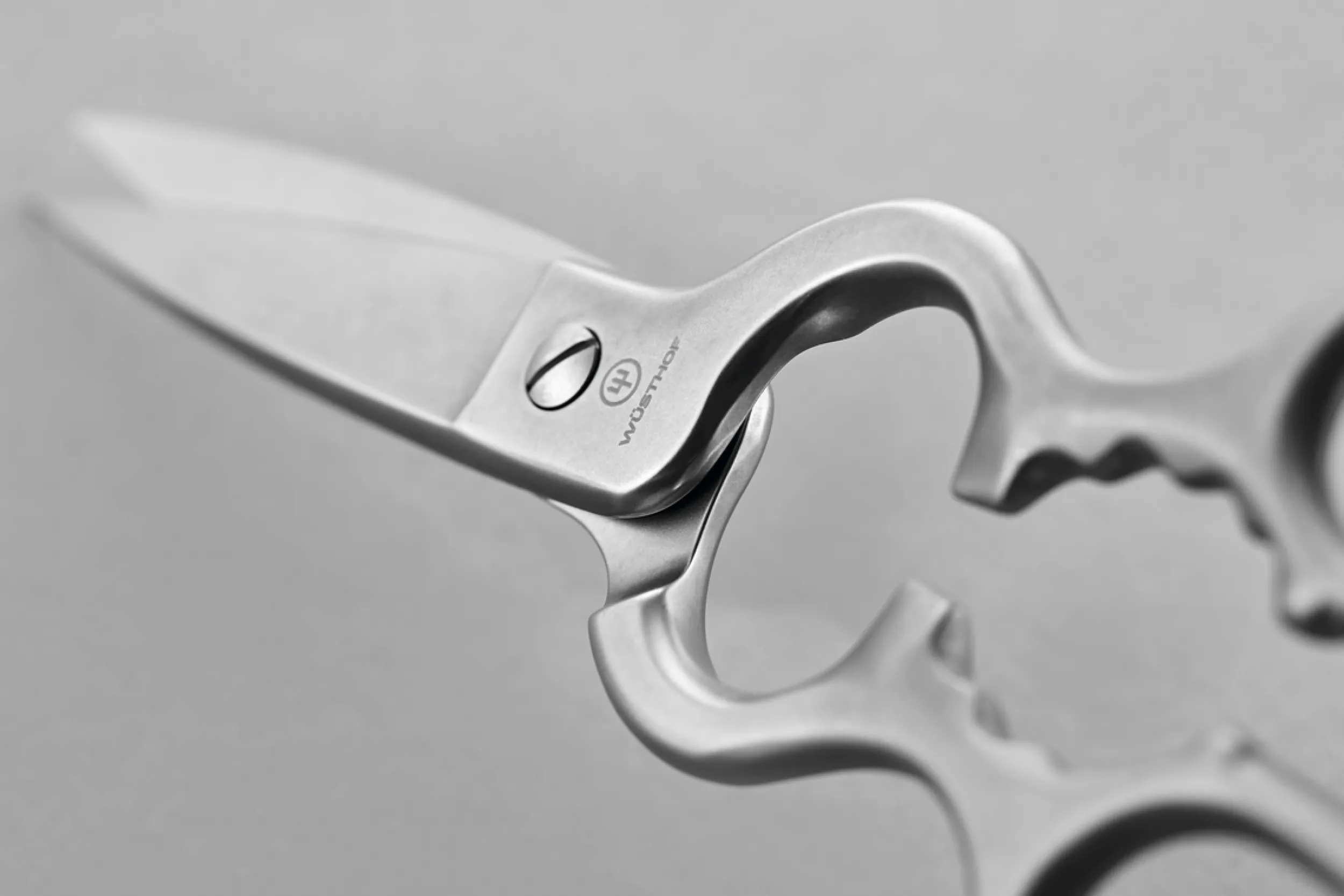 Wüsthof Scissors & Shears|Accessories & Tools>Stainless Kitchen Shears