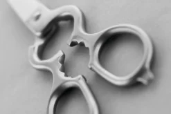 Wüsthof Scissors & Shears|Accessories & Tools><noscript><img width=
