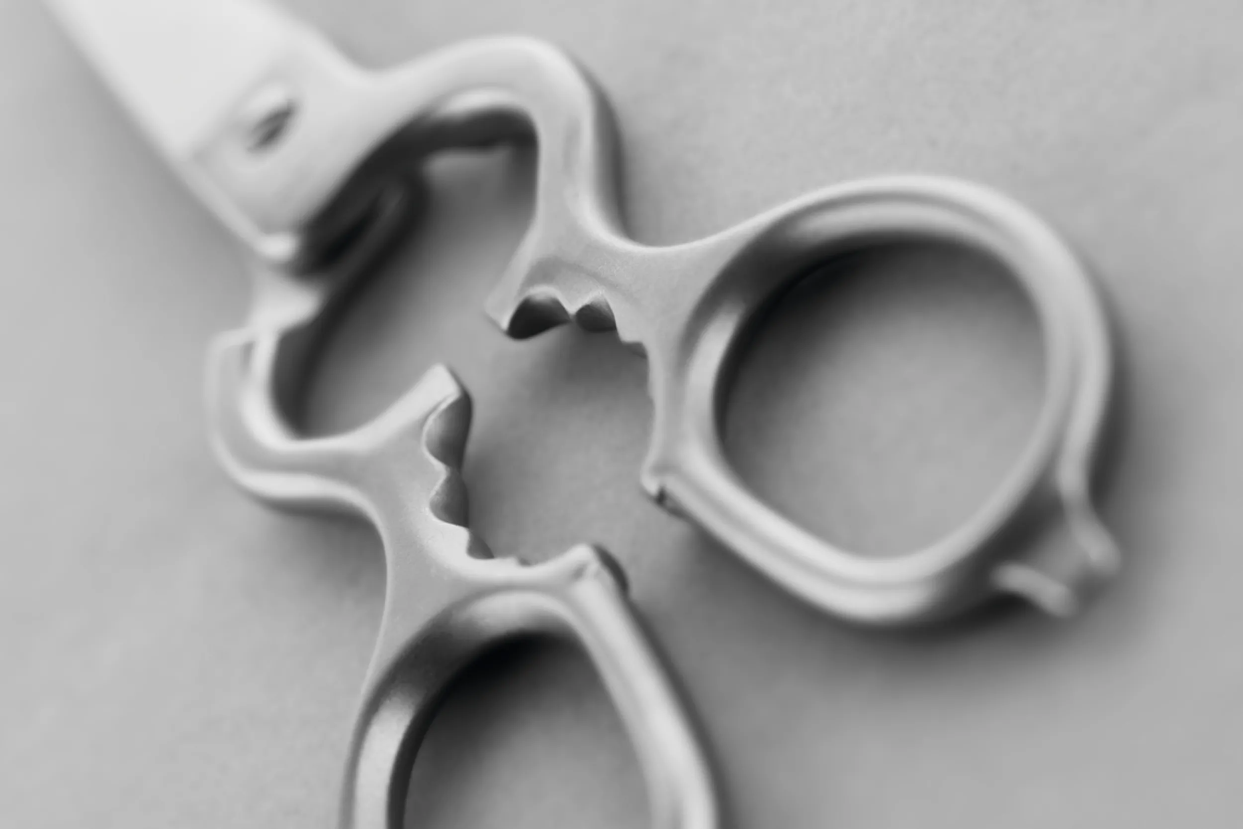 Wüsthof Scissors & Shears|Accessories & Tools>Stainless Kitchen Shears